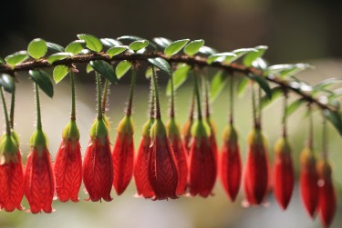 惠州惠东3私人快速借钱网，轻松解决资金难题