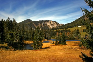 惠州惠东3民间私贷攻略：揭秘低成本借贷的秘密