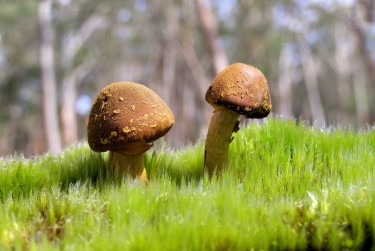 惠州惠东3私人老板放款：轻松融资的秘密通道